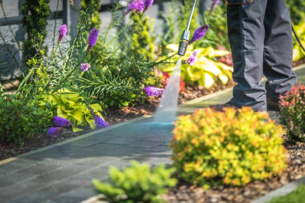 Trusted Virginia, IL Pressure Washing Services Experts