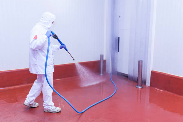 Best Winterizing Services  in Virginia, IL