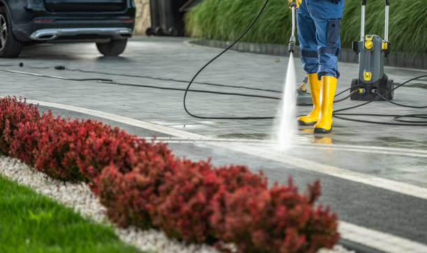 Best House Exterior Washing  in Virginia, IL